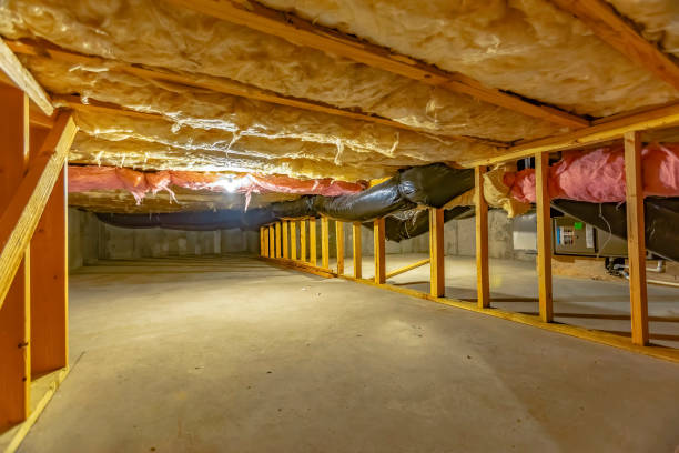 crawl space with a dirt floor