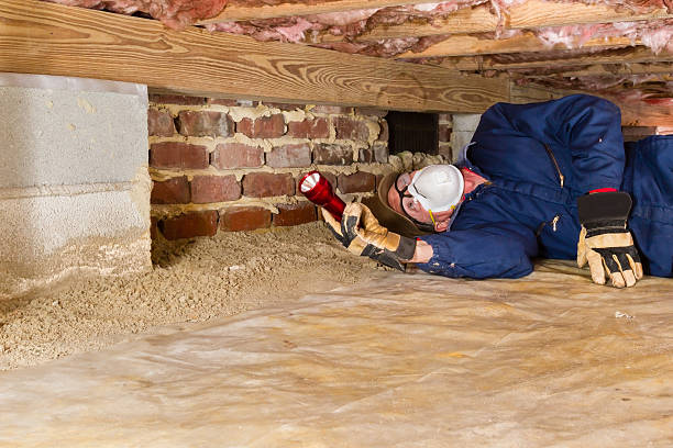 man in a crawl space with dirt floor holding a flashlight